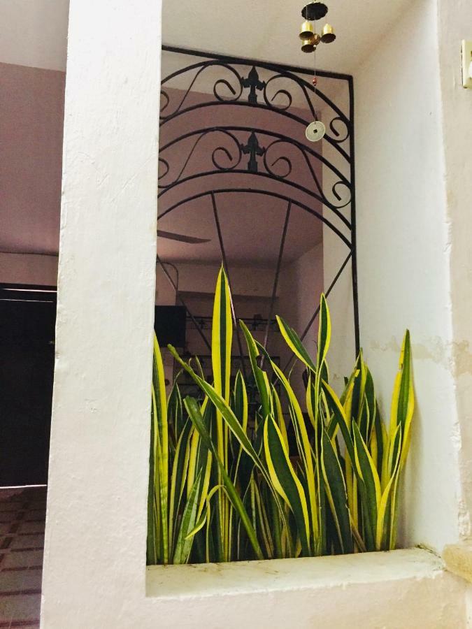 Casa De Ines Y Victoria Hotel Valladolid Kültér fotó
